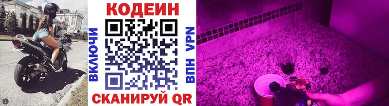 Купить  Кандалакша  Codein напиток Lean (лин) 