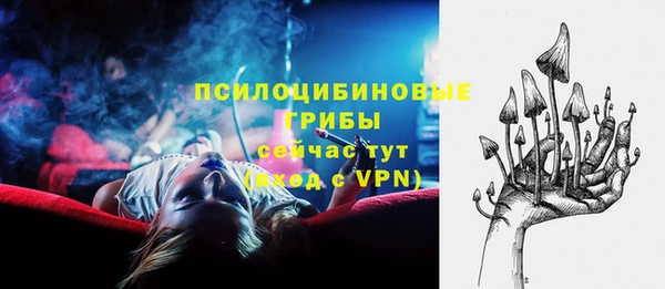 эйфоретик Бородино