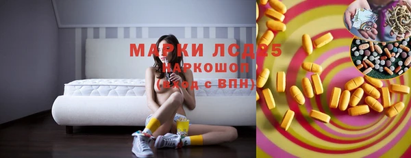 эйфоретик Бородино