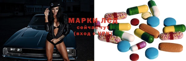 эйфоретик Бородино