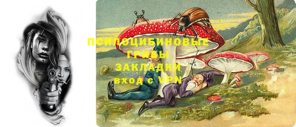 эйфоретик Бородино
