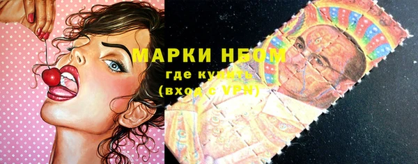 эйфоретик Бородино