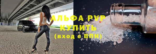 эйфоретик Бородино