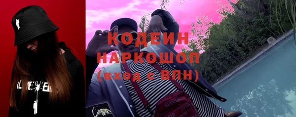 эйфоретик Бородино