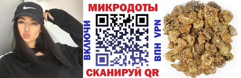 Галлюциногенные грибы Psilocybine cubensis Кандалакша