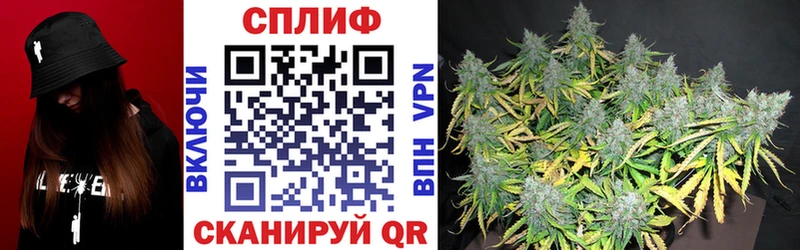 Бошки Шишки тримм  Купить закладки  Кандалакша 